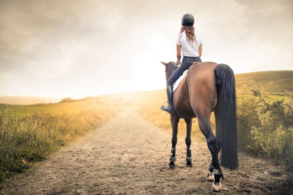 caballo