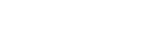 logo1 1